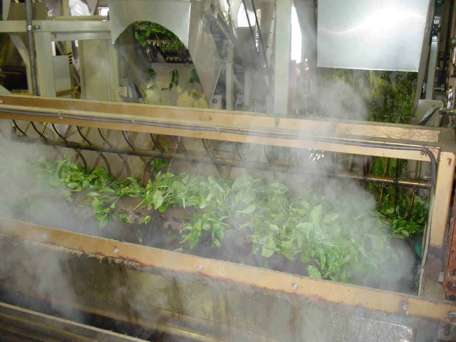 Matcha Poeder Bio: Japanse Matcha uit Kagoshima - Afbeelding 3