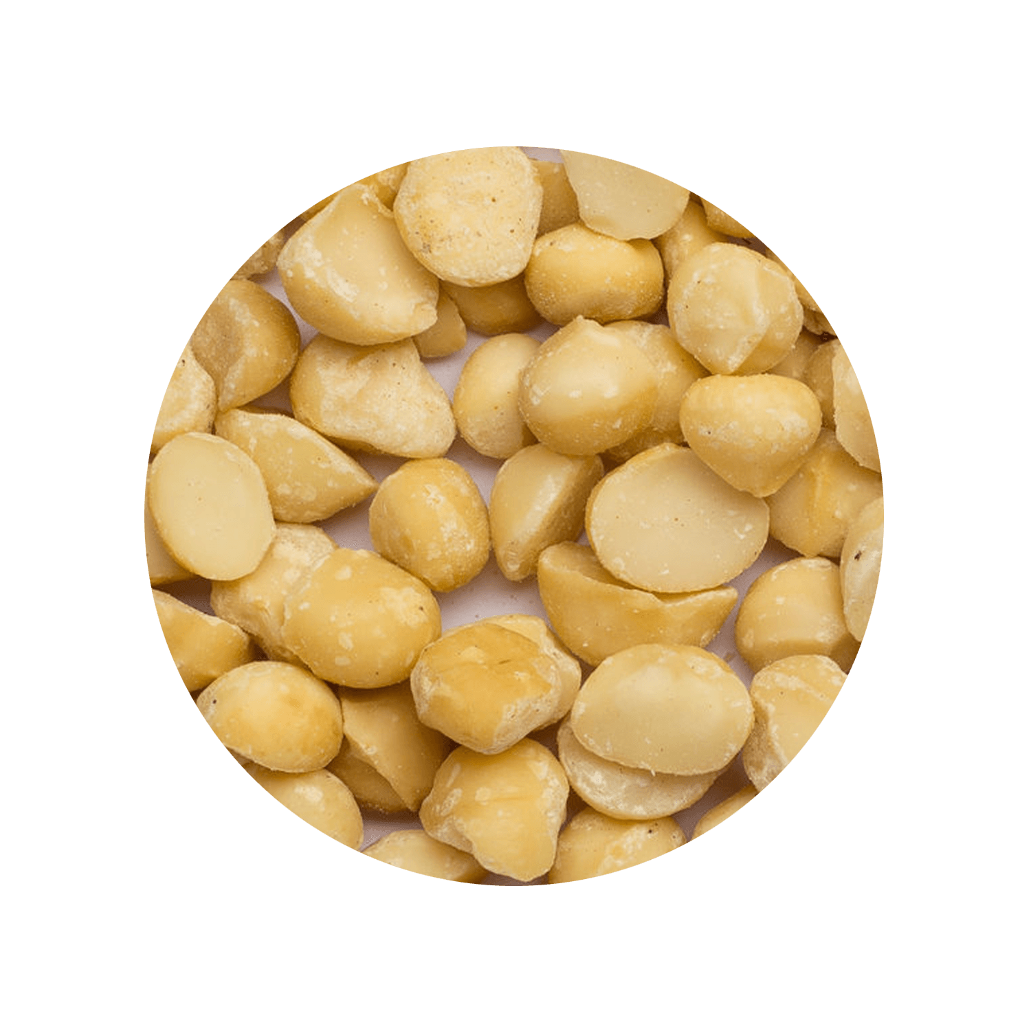 Rauwe biologische macadamianoten, lichtbeige en rond, in een schaal