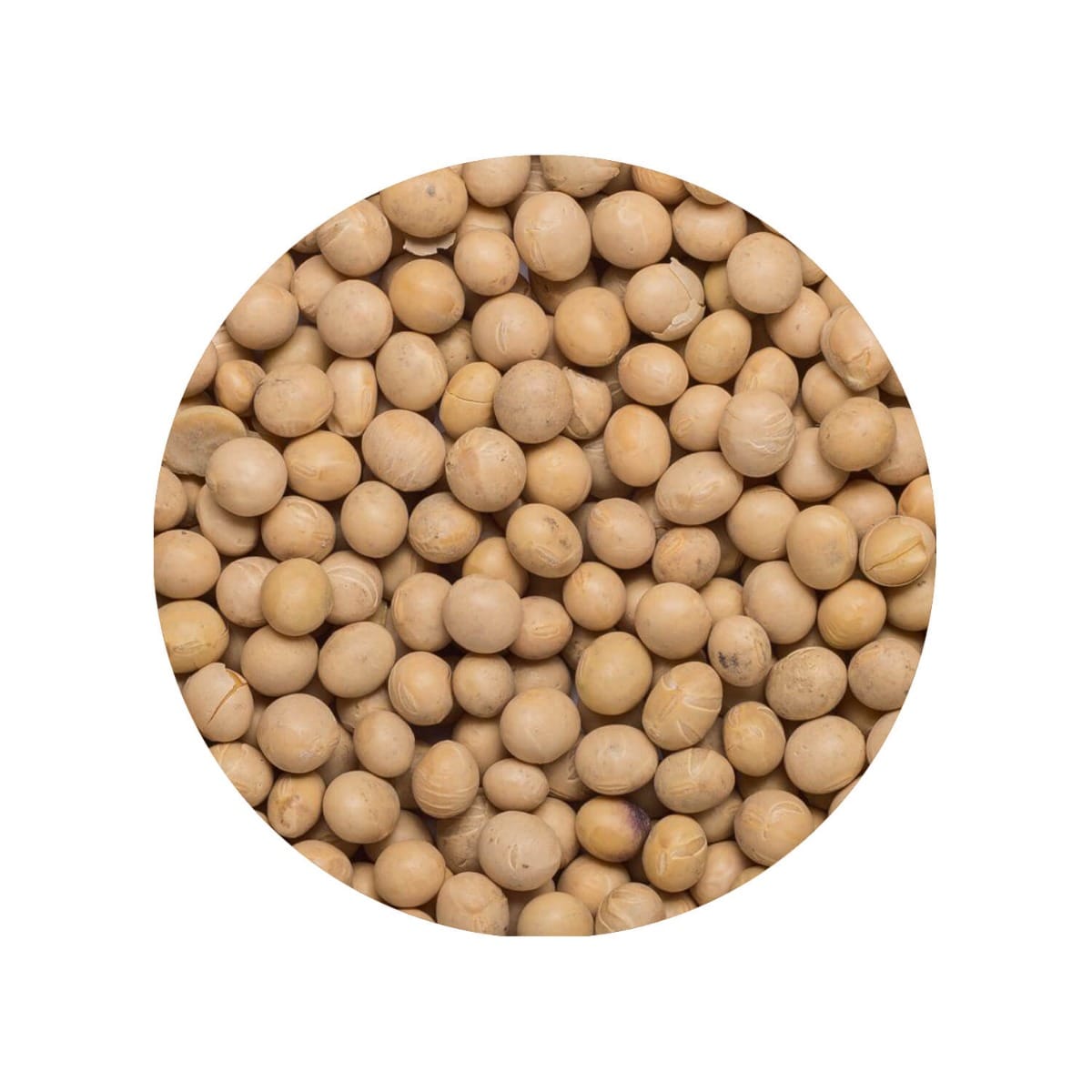 Beige biologische ongepelde sojabonen in een schaal