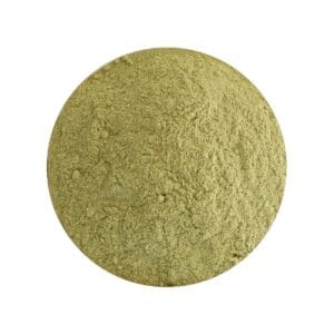 Daslook Gesneden 2-4 mm Biologisch