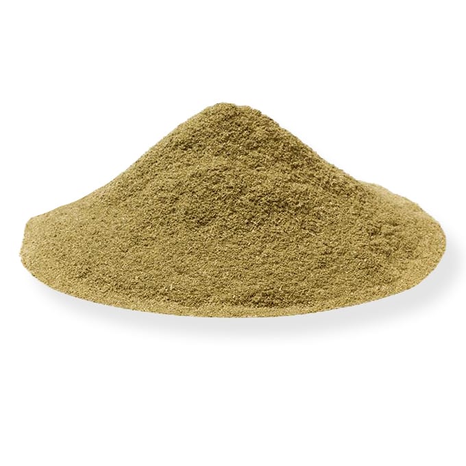 Basilicum Poeder Kiemarm Biologisch - Afbeelding 2