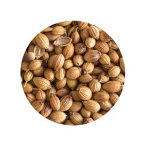 Koriander Heel Kiemarm Biologisch
