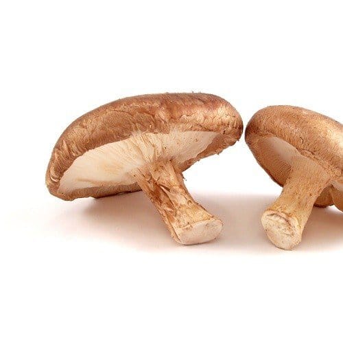 Shiitake Poeder Biologisch - Afbeelding 2