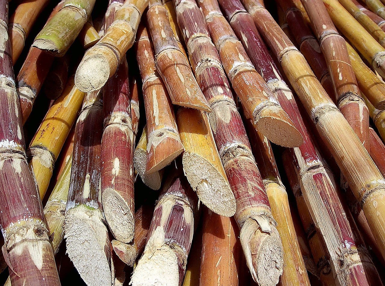 Rietsuiker Licht Goud Biologisch