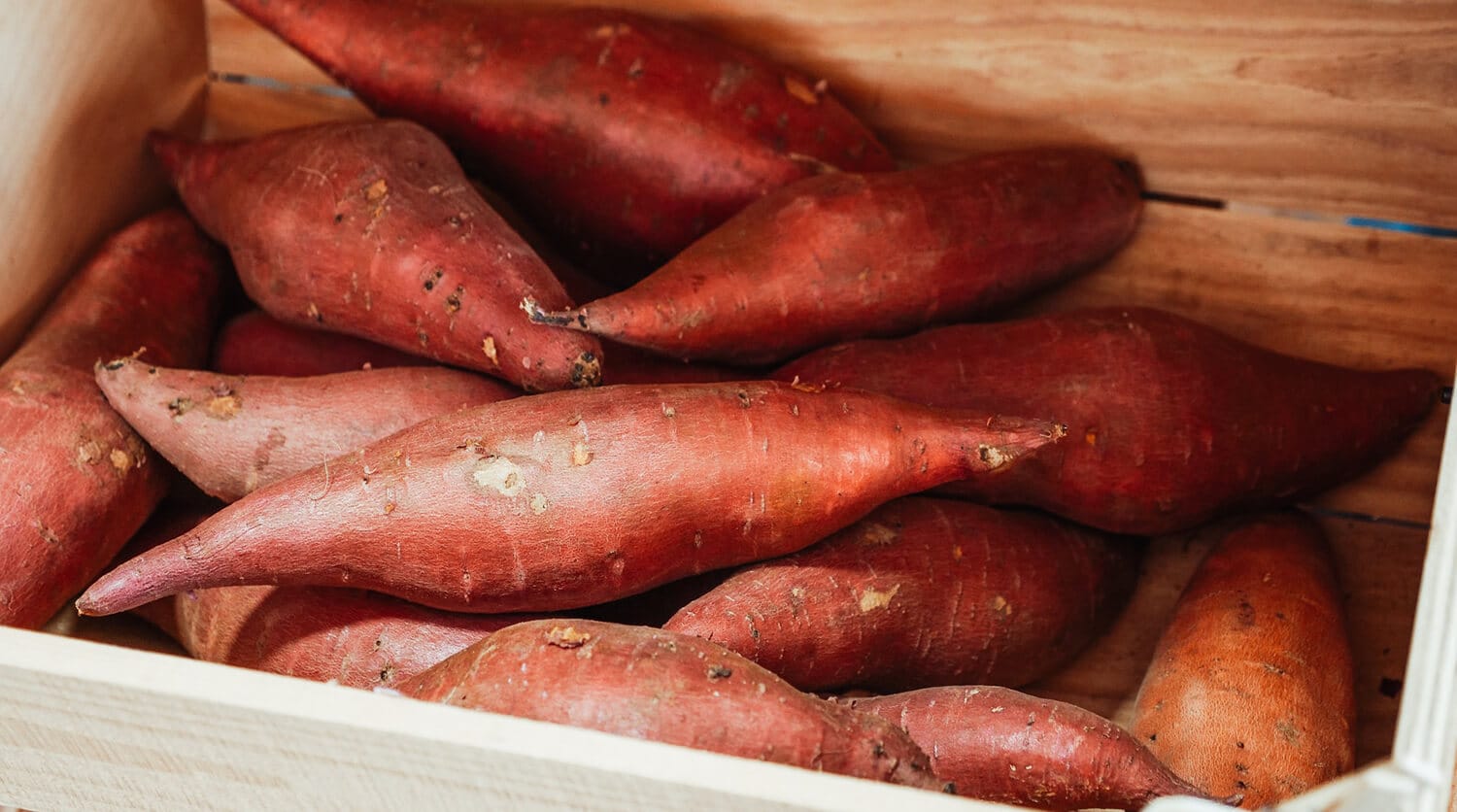 Zoete Aardappel Poeder Biologisch